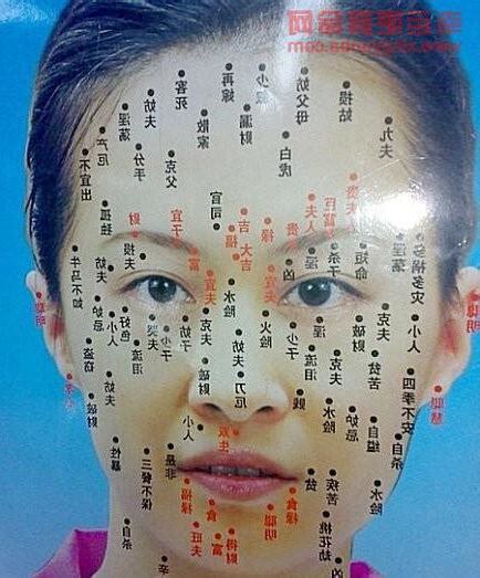 鼻子長痣 面相